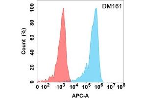 Flow cytometry analysis with Anti-CD5 (DM161) on Expi293 cells transfected with human CD5 (Blue histogram) or Expi293 transfected with irrelevant protein (Red histogram). (CD5 Antikörper  (AA 25-372))