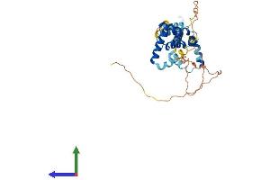AlphaFold protein structure predicition of Human Recombinant PBX4 Protein, UniprotID Q9BYU1 (PBX4 Protein (AA 1-374) (His tag))