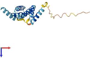 Fission 1 Protein (FIS1) (AA 1-152) (His tag)
