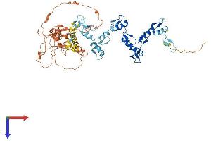 ZNF529 Protein (AA 1-563) (His tag)