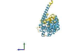 AlphaFold protein structure predicition of Human Recombinant PSMD13 Protein, UniprotID Q9UNM6