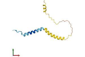 AlphaFold protein structure predicition of Human Recombinant DSCR8 Protein, UniprotID Q96T75
