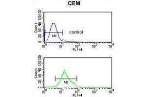TCHP Antibody (Center) flow cytometric analysis of CEM cells (bottom histogram) compared to a negative control cell (top histogram). (TCHP Antikörper  (Middle Region))