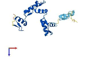 AlphaFold protein structure predicition of Human Recombinant ZNF833P Protein, UniprotID Q6ZTB9 (LOC401898 Protein (AA 1-187) (His tag))