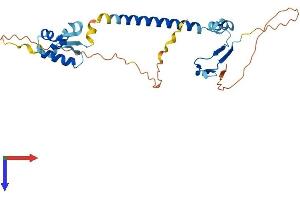 E2F6 Protein (AA 1-281) (His tag)
