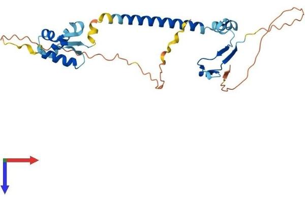 E2F6 Protein (AA 1-281) (His tag)