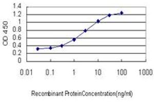 Detection limit for recombinant GST tagged SAV1 is approximately 0. (SAV1 Antikörper  (AA 300-383))