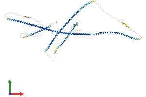 Protein Structure (PS) image for GRIP and Coiled-Coil Domain Containing 1 (GCC1) (AA 1-775) protein (His tag) (ABIN7547917)