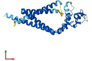 Protein Structure (PS) image for Tetraspanin 9 (TSPAN9) (AA 1-239) protein (His tag) (ABIN7544878)