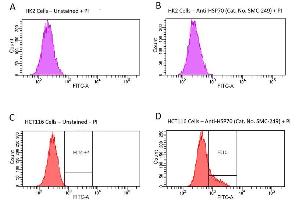 Fluorescence-activated cell sorting analysis using Mouse Anti-HSP70 Monoclonal Antibody, Clone 1H11: FITC conjugate . (HSP70 Antikörper)