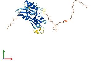 AlphaFold protein structure predicition of Mouse Recombinant Medag Protein, UniprotID Q14BA6