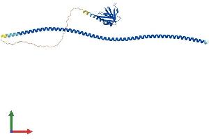 Protein Structure (PS) image for Homer Homolog 1 (HOMER1) (AA 1-366) protein (His tag) (ABIN7565306)