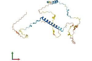 AlphaFold protein structure predicition of Mouse Recombinant Tsga13 Protein, UniprotID Q9DA17