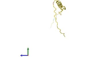 Protein Structure (PS) image for Prostate Cancer Susceptibility Candidate (PRAC) (AA 1-57) protein (Fc Tag) (ABIN7550920)