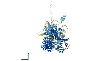 Protein Structure (PS) image for DEAH (Asp-Glu-Ala-His) Box Polypeptide 34 (DHX34) (AA 1-1143) protein (His tag) (ABIN7553655)
