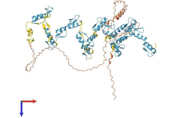 ZNF611 Protein (AA 1-705) (His tag)