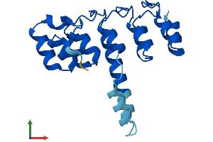 AlphaFold protein structure predicition of Mouse Recombinant Ankrd22 Protein, UniprotID Q9D3J5