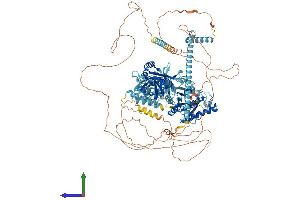 Protein Structure (PS) image for Eukaryotic Translation Initiation Factor 5B (EIF5B) (AA 1-1220) protein (His tag) (ABIN7554148)