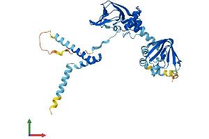 Protein Structure (PS) image for Protein Kinase, CAMP-Dependent, Regulatory, Type I, alpha (Tissue Specific Extinguisher 1) (PRKAR1A) (AA 1-381) protein (His tag) (ABIN7548771)