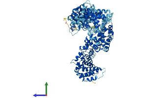 UNC45B Protein (AA 1-931) (His tag)