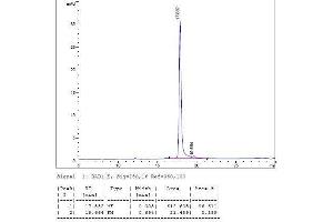 Image no. 2 for Interleukin 12 (IL12) (AA 23-219), (AA 23-328) (Active) protein (ABIN2018015) (IL12 Protein (AA 23-219, AA 23-328))