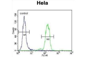 Flow Cytometry (FACS) image for anti-BCL2-Associated Agonist of Cell Death (BAD) (BH3 Domain) antibody (ABIN2997223) (BAD Antikörper  (BH3 Domain))