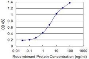 ELISA image for anti-Synaptotagmin Binding, Cytoplasmic RNA Interacting Protein (SYNCRIP) (AA 1-527) antibody (ABIN523905)