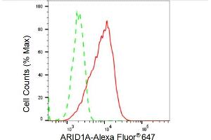 Flow cytometric analysis of ARID1A expression in C2C12 cells using ARID1A antibody (ABIN7797666), 1:2,000). (Rekombinanter ARID1A Antikörper)