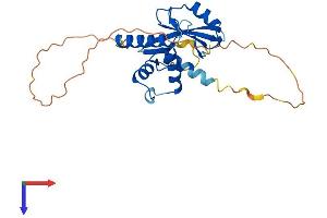 CISH Protein (AA 1-257) (His tag)