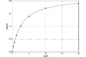 A typical standard curve (DDT ELISA Kit)