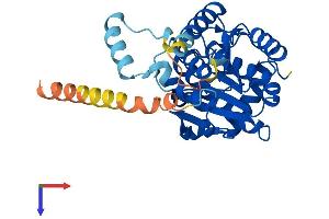 RDH14 Protein (AA 1-336) (His tag)