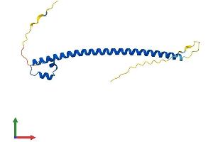 Protein Structure (PS) image for Transcription Factor MafK (MAFK) (AA 1-156) protein (His tag) (ABIN7549311)
