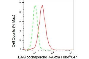 Flow cytometric analysis of BAG cochaperone 3 expression in HepG2 cells using BAG cochaperone 3 antibody (ABIN7800911), 1:2,000). (Rekombinanter BAG Cochaperone 3 Antikörper)