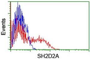 HEK293T cells transfected with either RC204162 overexpress plasmid (Red) or empty vector control plasmid (Blue) were immunostained by anti-SH2D2A antibody (ABIN2455617), and then analyzed by flow cytometry. (SH2D2A Antikörper)