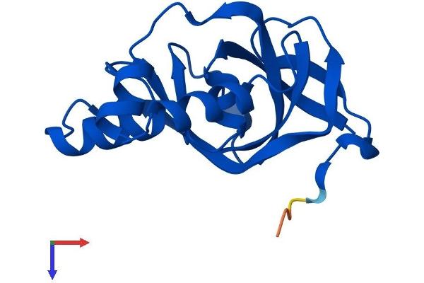 EOLA1 Protein (AA 1-158) (His tag)