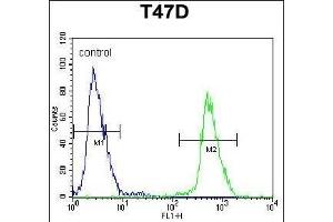 NU Antibody (N-term) (ABIN653920 and ABIN2843154) flow cytometric analysis of T47D cells (right histogram) compared to a negative control cell (left histogram).
