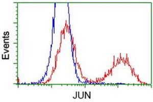 HEK293T cells transfected with either RC209804 overexpress plasmid (Red) or empty vector control plasmid (Blue) were immunostained by anti-JUN antibody (ABIN2453809), and then analyzed by flow cytometry. (C-JUN Antikörper)