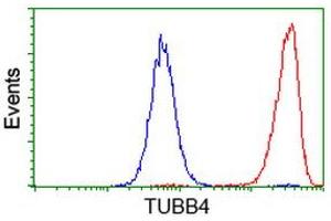 Flow cytometric Analysis of Hela cells, using anti-TUBB4 antibody (ABIN2454728), (Red), compared to a nonspecific negative control antibody, (Blue). (TUBB4 Antikörper)