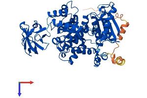 PKLR Protein (AA 1-574) (His tag)
