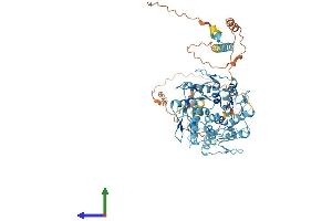 AlphaFold protein structure predicition of Human Recombinant ZNF816 Protein, UniprotID Q0VGE8