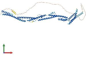 Protein Structure (PS) image for Protein Regulator of Cytokinesis 1 (PRC1) (AA 1-603) protein (His tag) (ABIN7564882)