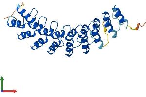 AlphaFold protein structure predicition of Human Recombinant ANKRD29 Protein, UniprotID Q8N6D5