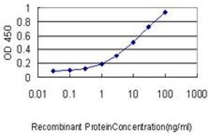 Detection limit for recombinant GST tagged S100A4 is approximately 0. (s100a4 Antikörper  (AA 1-101))