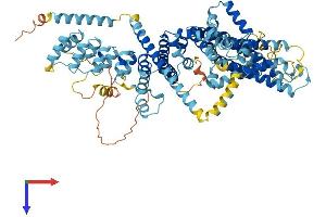TRPC1 Protein (AA 1-793) (His tag)
