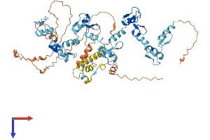ZNF416 Protein (AA 1-594) (His tag)