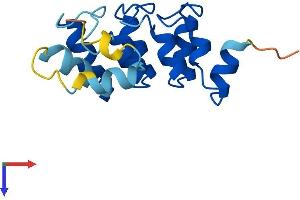 PPP1R27 Protein (AA 1-154) (His tag)