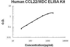 Human CCL22/MDC Accusignal ELISA Kit Human CCL22/MDC AccuSignal ELISA Kit standard curve.