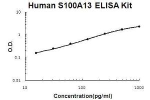 Human S100A13 PicoKine ELISA Kit standard curve (S100A13 ELISA Kit)