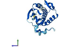 Protein Structure (PS) image for MAD2 Mitotic Arrest Deficient-Like 2 (MAD2L2) (AA 1-211) protein (His tag) (ABIN7554529)