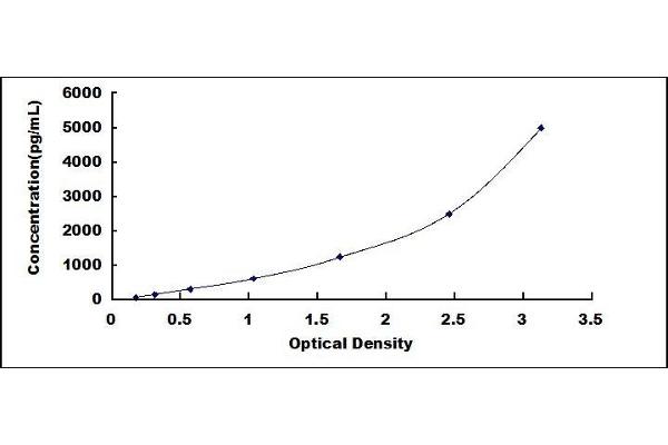 GSTA1 ELISA Kit